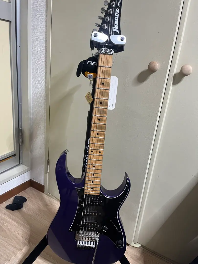 Ibanez RG SERIES RG350Qアイバニーズ ボディ ネック 中古 Ibanez RG SERIES RG350Qアイバニーズ ボディ ネック 中古