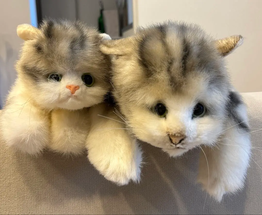 2025年最新】リーベねこぬいぐるみの人気アイテム - メルカリ