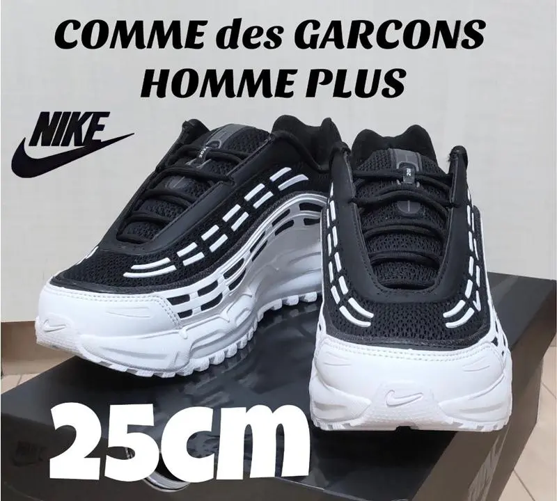 2025年最新】COMME des GARCONS HOMME PLUS メインカラー