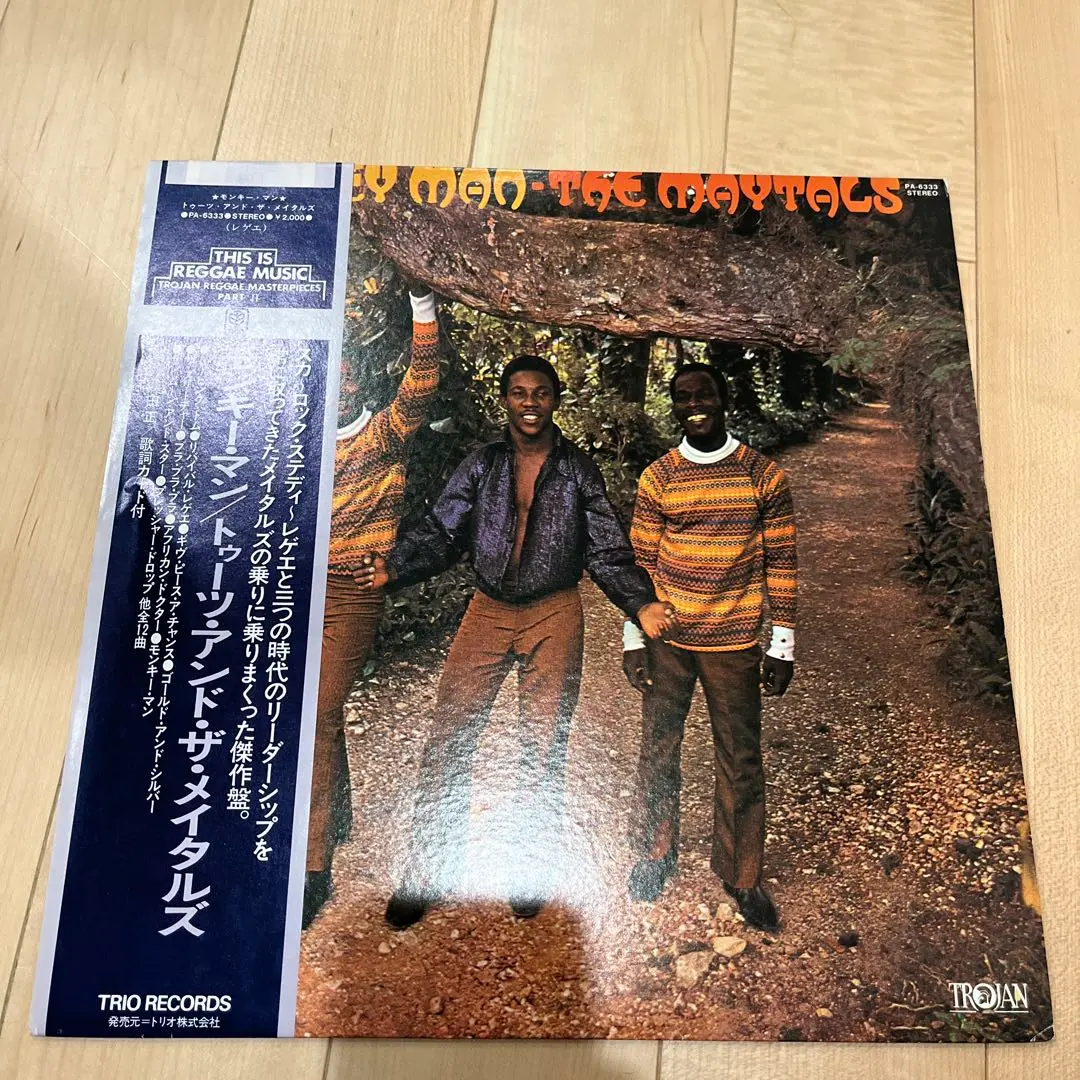 【中古】 In the Dark トゥーツ＆ザ・メイタルズ 2025年最新】toots and the maytals cdの人気アイテム - メルカリ