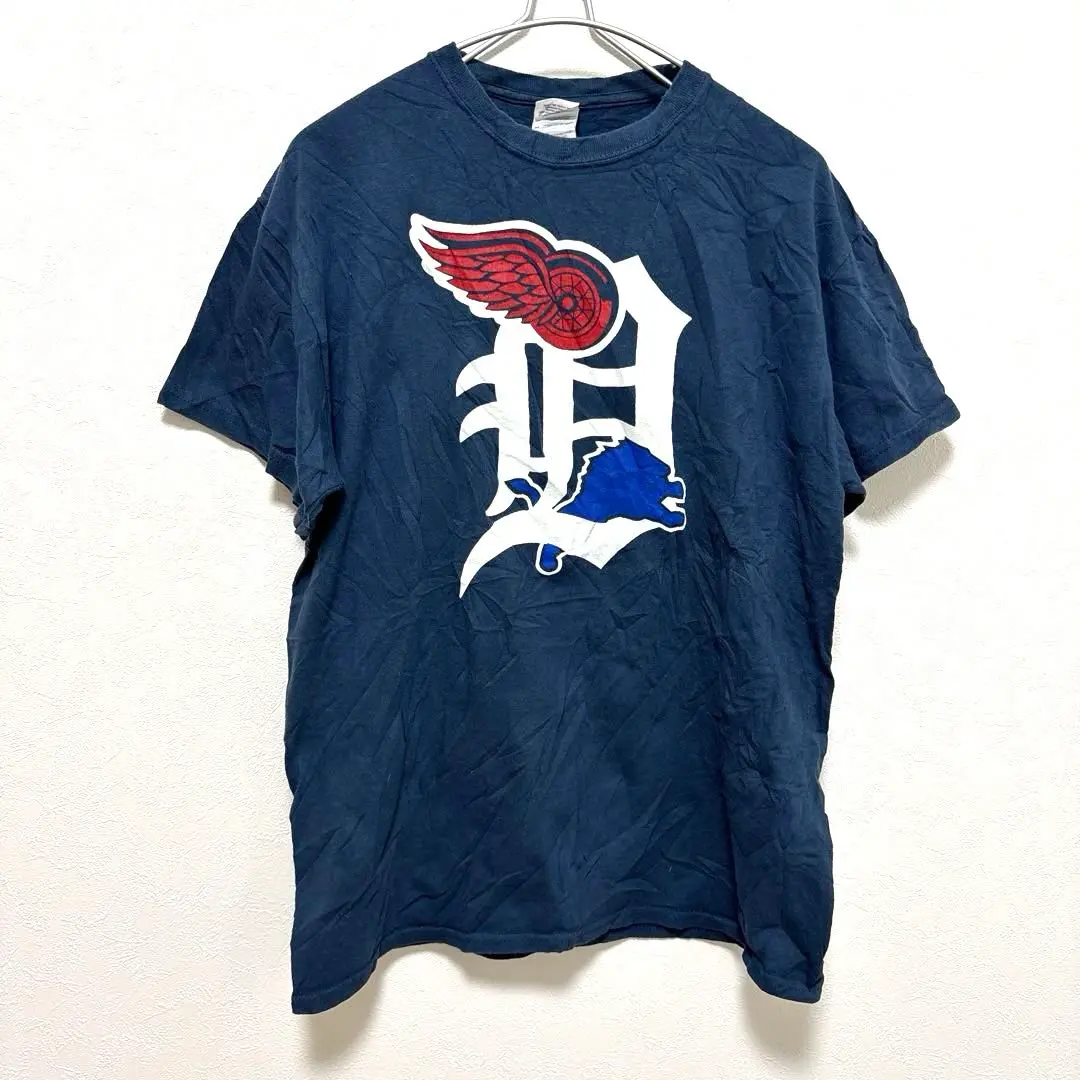 【NHL】デトロイトレッドウィングス ブラック刺繍スウェット Mサイズ NHL】デトロイトレッドウィングス ブラック刺繍スウェット Mサイズ