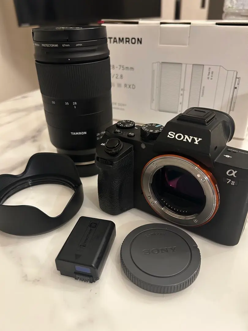 m50275245225_1.jpg?1736241953