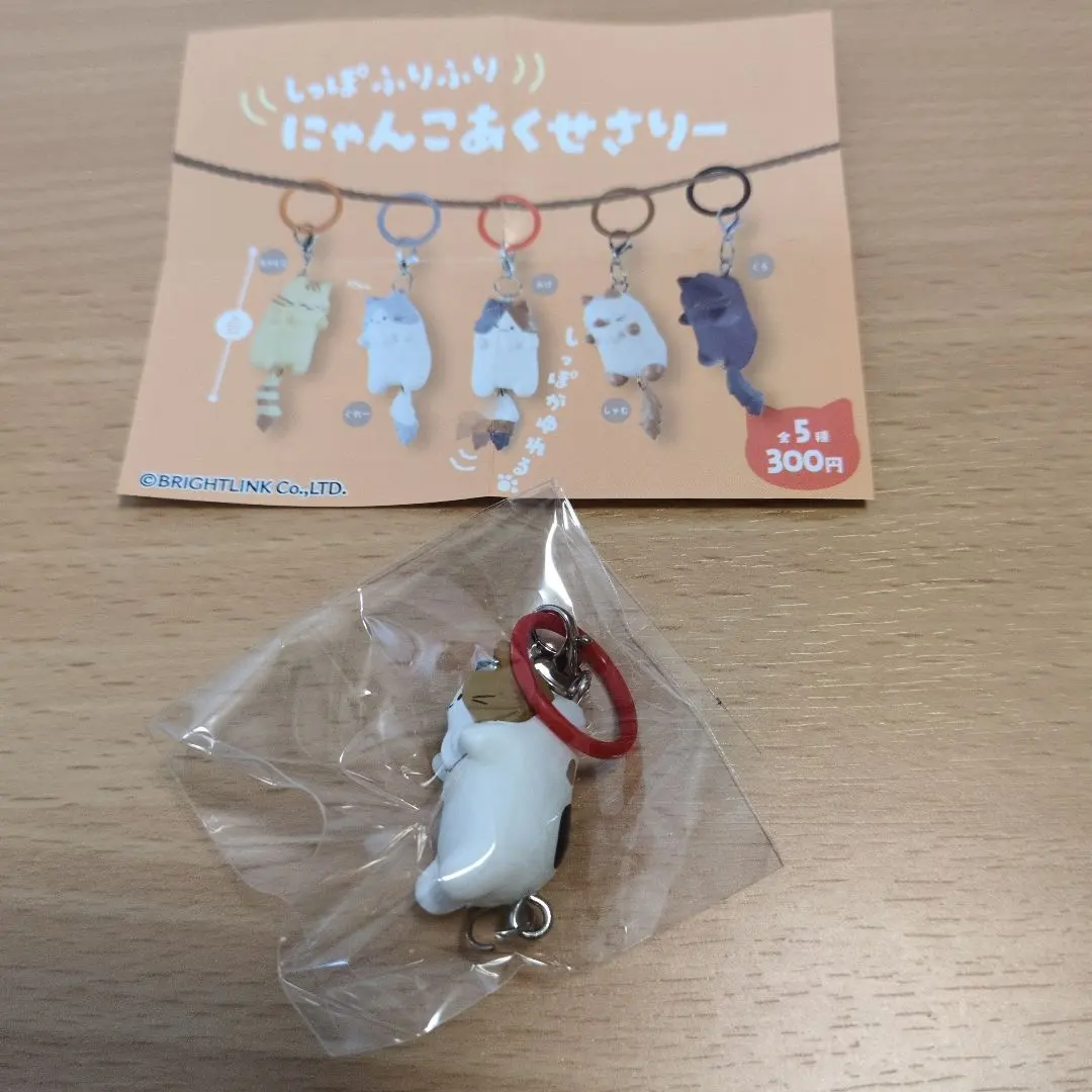 Thumbnail of (Defective Product) Cat Accessory Without Tail - Calico