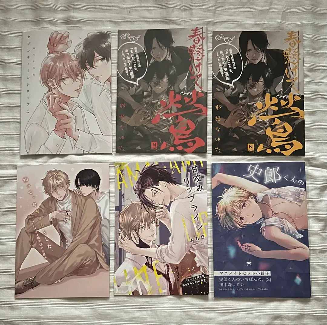 Thumbnail of BL manga booklet set