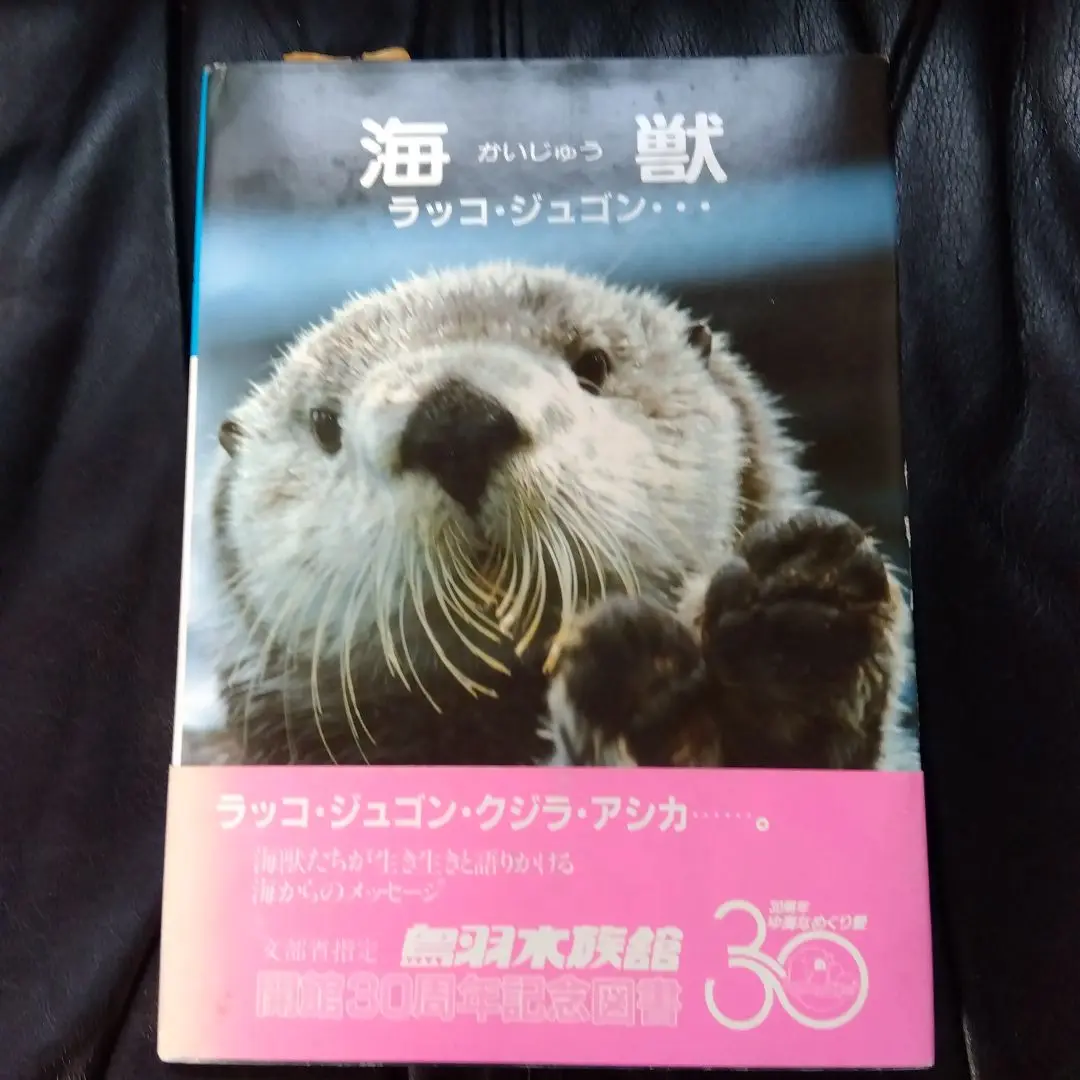 2025年最新】ラッコメモリアルBOOKの人気アイテム - メルカリ