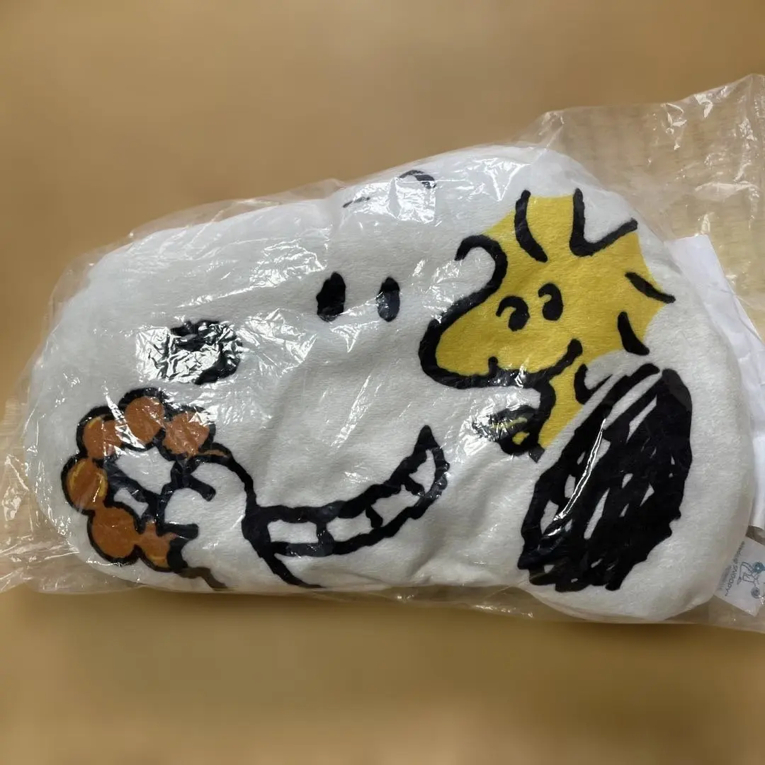 Thumbnail of Snoopy Woodstock Cushion