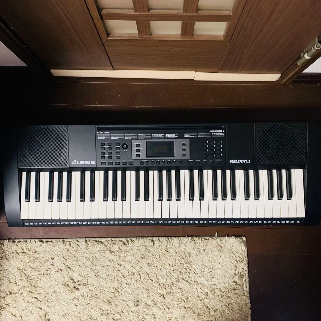 2025年最新】alesis melody 61の人気アイテム - メルカリ