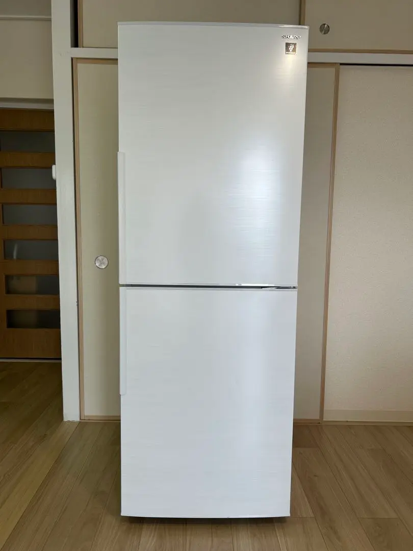 SHARP製ノンフロン冷蔵庫 SJ-PD28J-W（2023年製） SJ-PD28J | 冷蔵庫：シャープ
