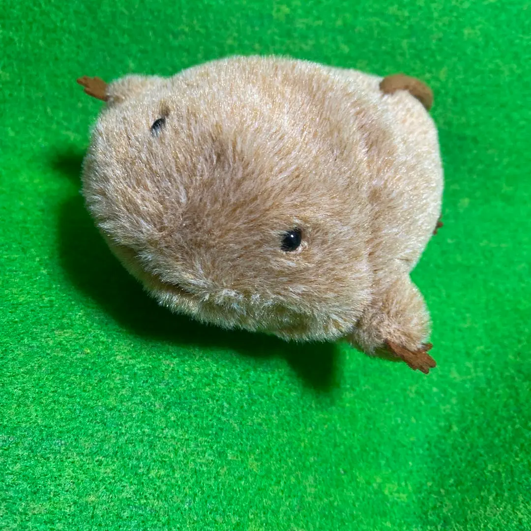 Thumbnail of Salamander plushie