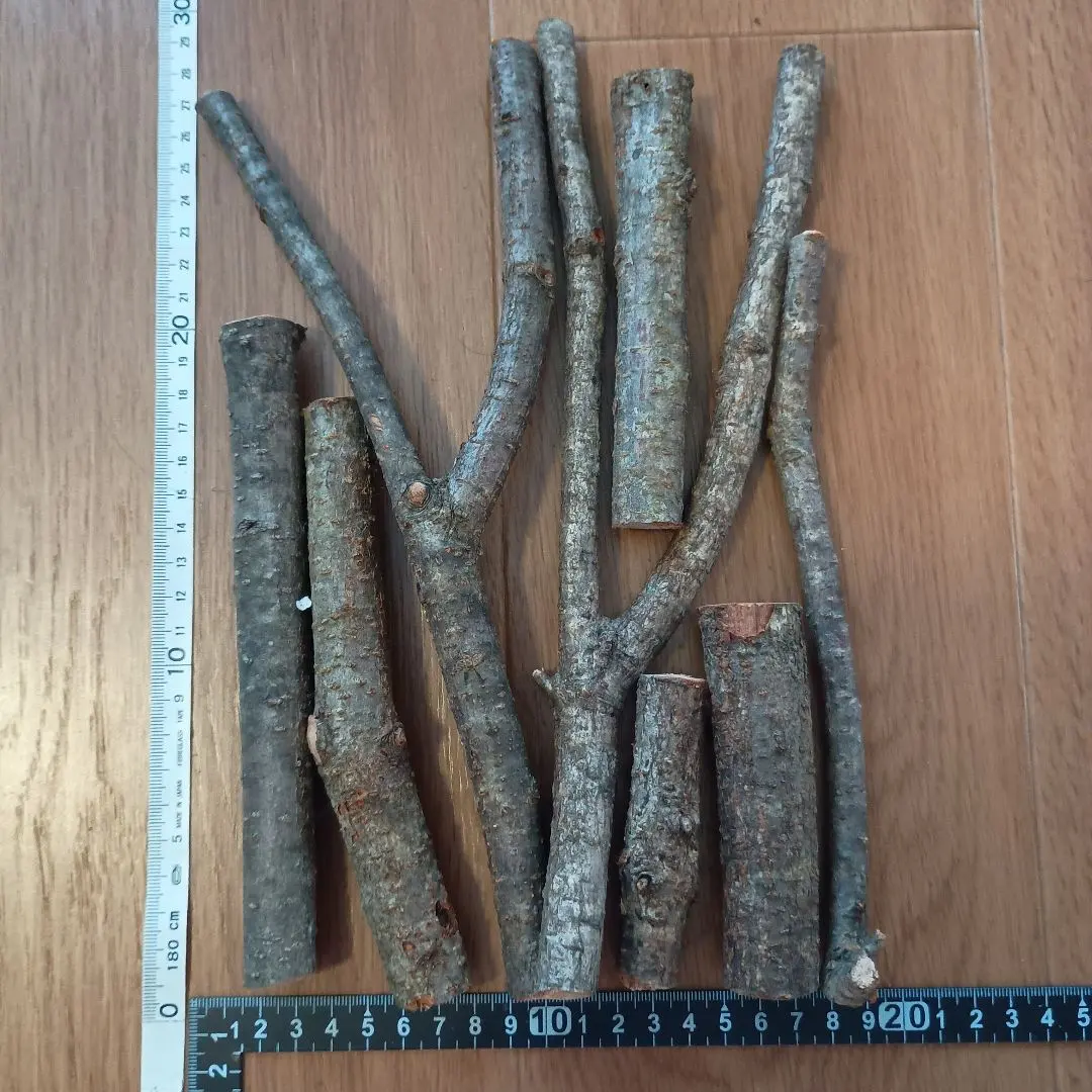 Thumbnail of Oak branches, 8 pieces, perch, climbing frame, stag beetle, rhinoceros beetle, birds, crafts, YC2