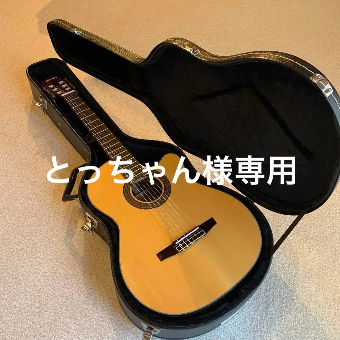 2025年最新】ibanez エレガットの人気アイテム - メルカリ