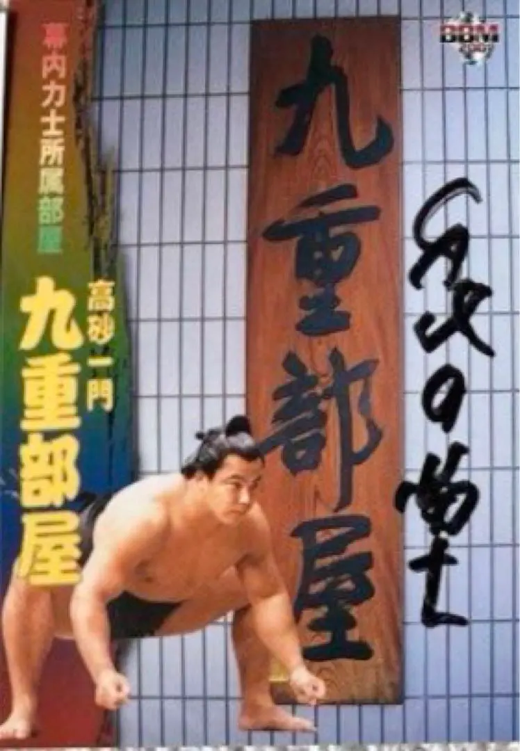 相撲　大相撲　千代の富士　色紙　5枚セット 相撲 大相撲 千代の富士 色紙 5枚セット（赤い手形と筆文字の