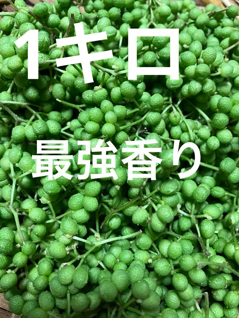 山椒の実　1キログラム　5/23収穫＆発送 Amazon | 朝倉さんしょ 実山椒 1kg 山椒の実 生 | JAたじま