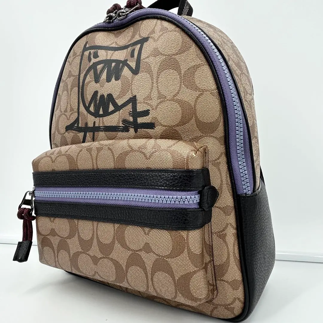 ☘️ 美品 希少 レア コーチ レキシー バックパック リュック 茶 ブラウン ☘️ 希少 COACH コーチ リュックサック バックパック シグネチャー