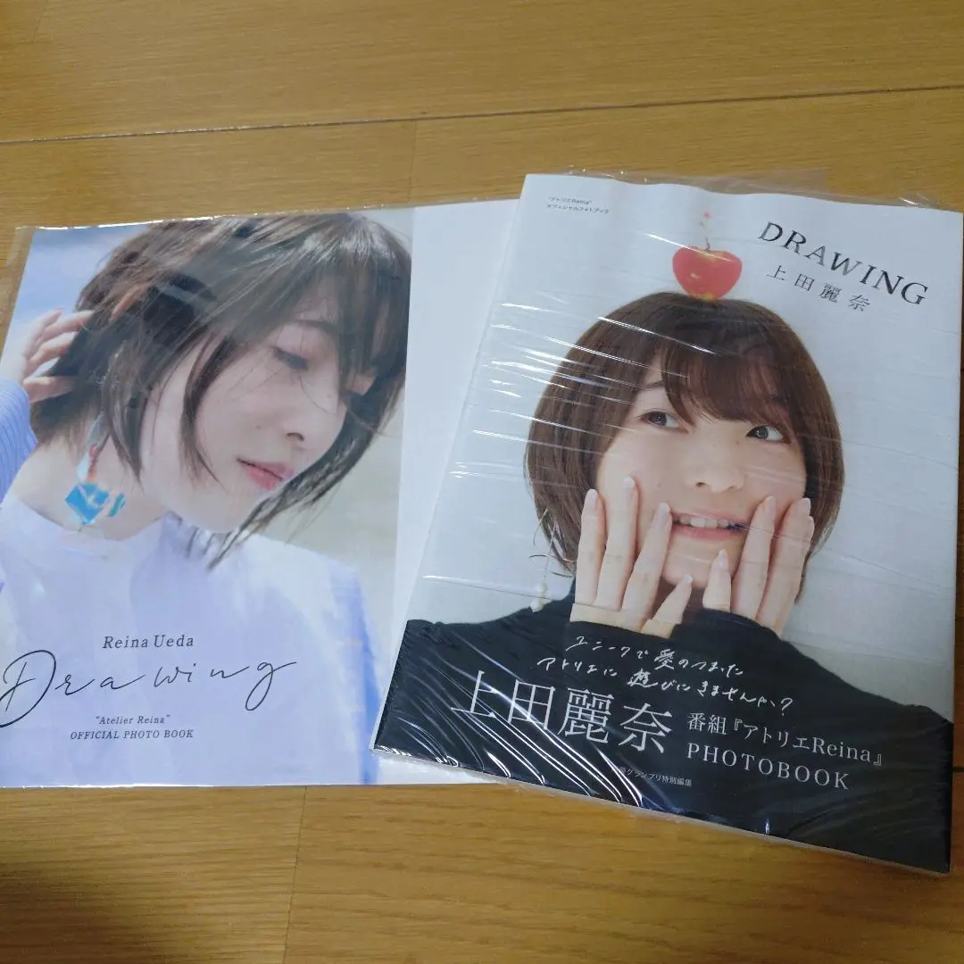 上田麗奈 アトリエreina 複製サイン入りキャンバスボード　3点セット 上田麗奈さんの複製サイン入りキャンバスボードが受注開始