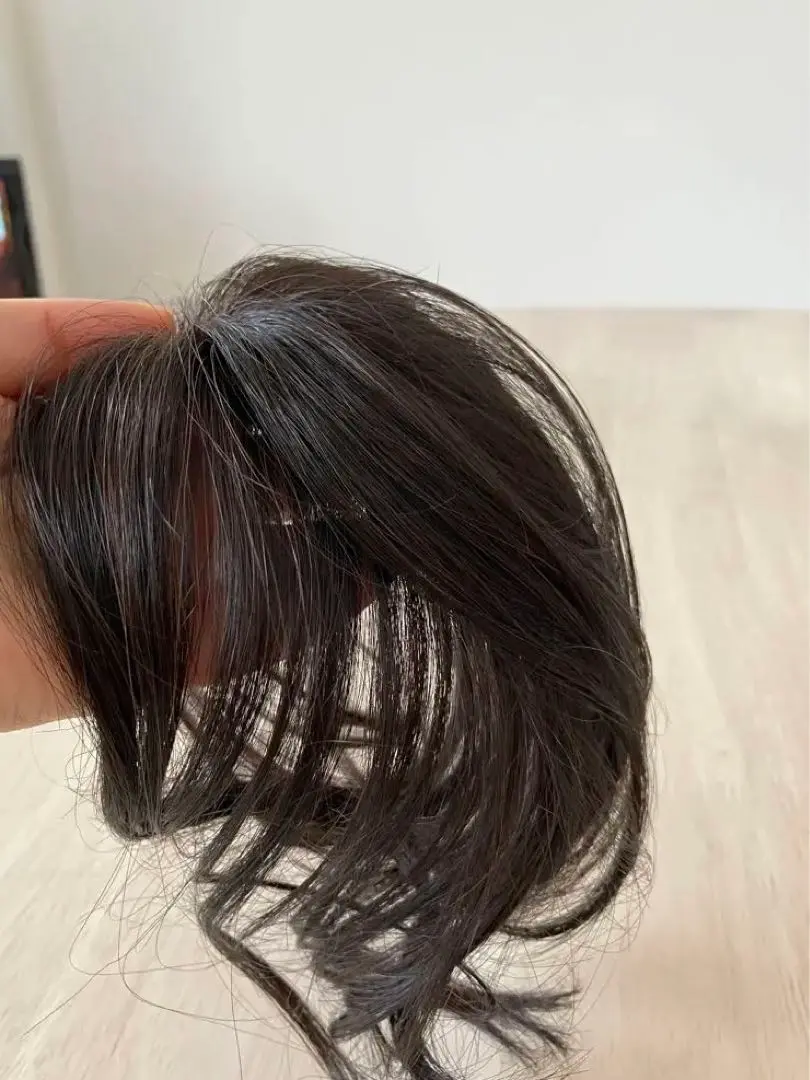 SaQina Wigs ウィッグ フィットタイプブラウン クリップ付き