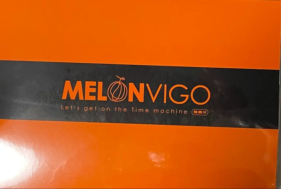 ヴィゴライフ　メロンビィゴ 期限2025年8月分) VIGOLIFE MELONVIGO ビィゴライフ