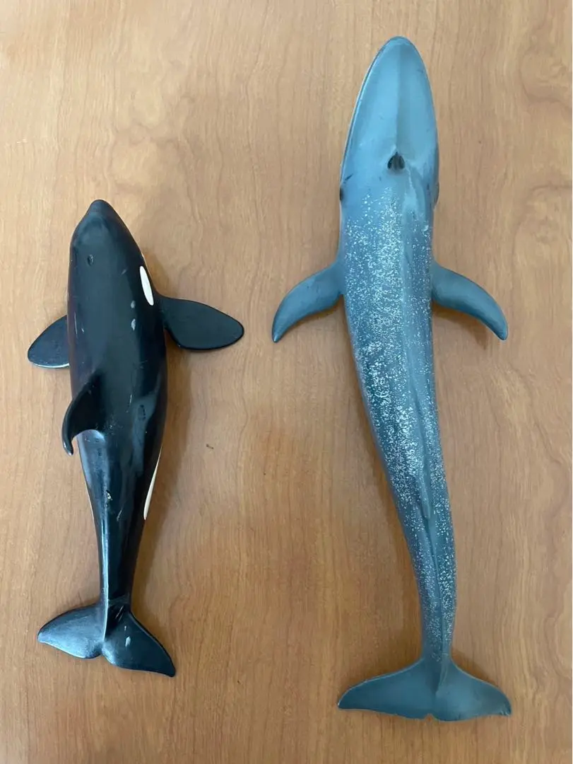 シュライヒ　【廃盤】コククジラ　仔 Amazon.co.jp: シュライヒ ワイルドライフ コククジラ