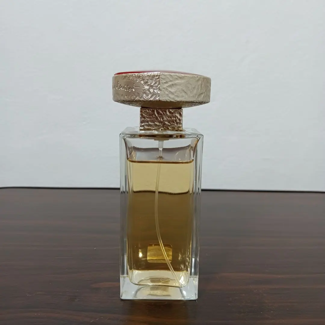 2025年最新】香水 VICE VERSAの人気アイテム - メルカリ