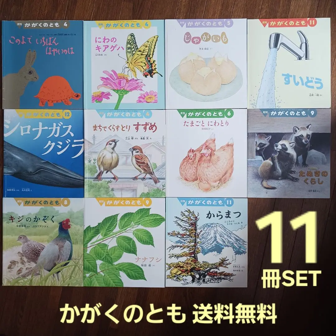 かがくのとも 身近な鳥 とりのこもりうた すずめ アオサギ 福音館