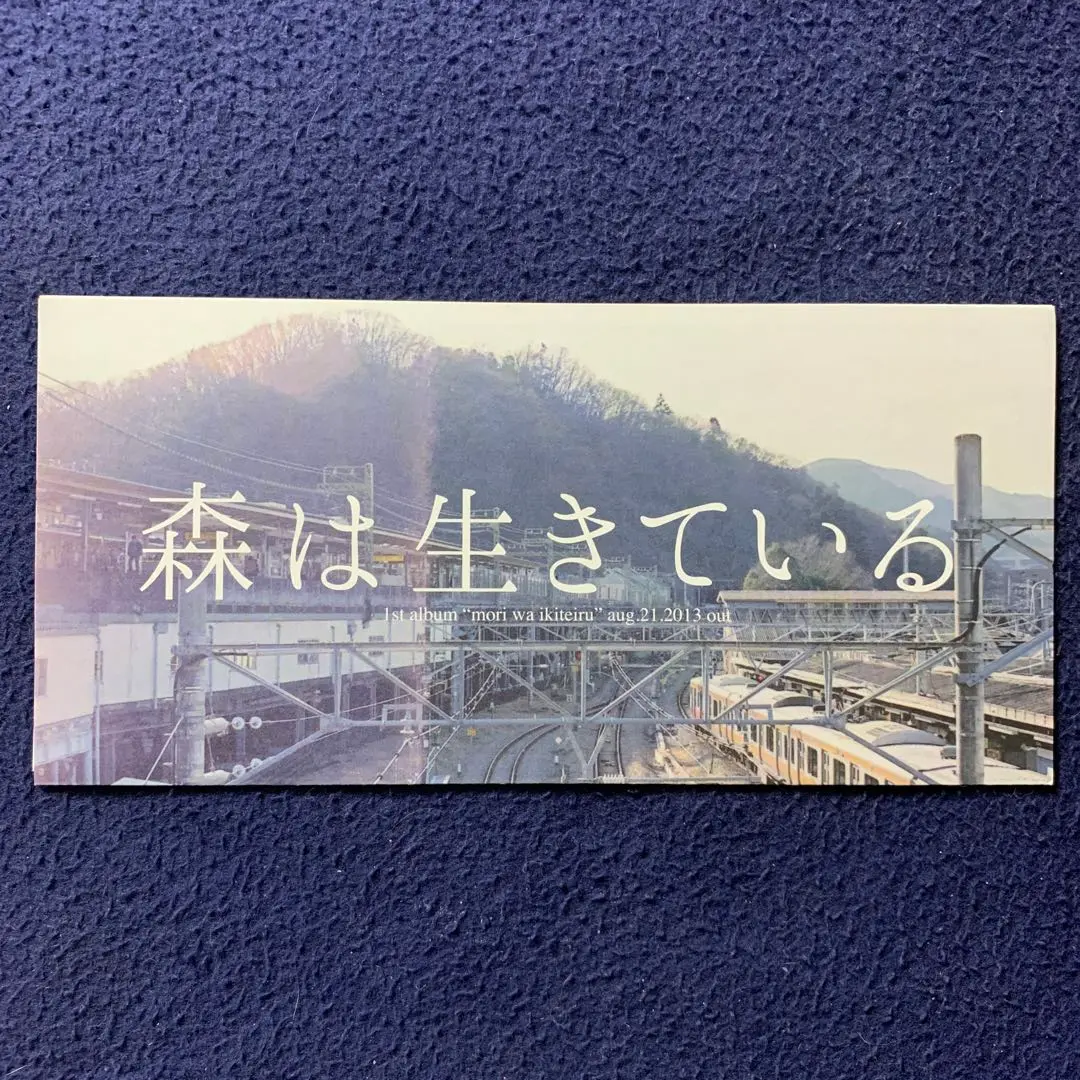 森は生きている グッド・ナイト レコード 森は生きている – グッド・ナイト – 2 x Vinyl (LP, Album