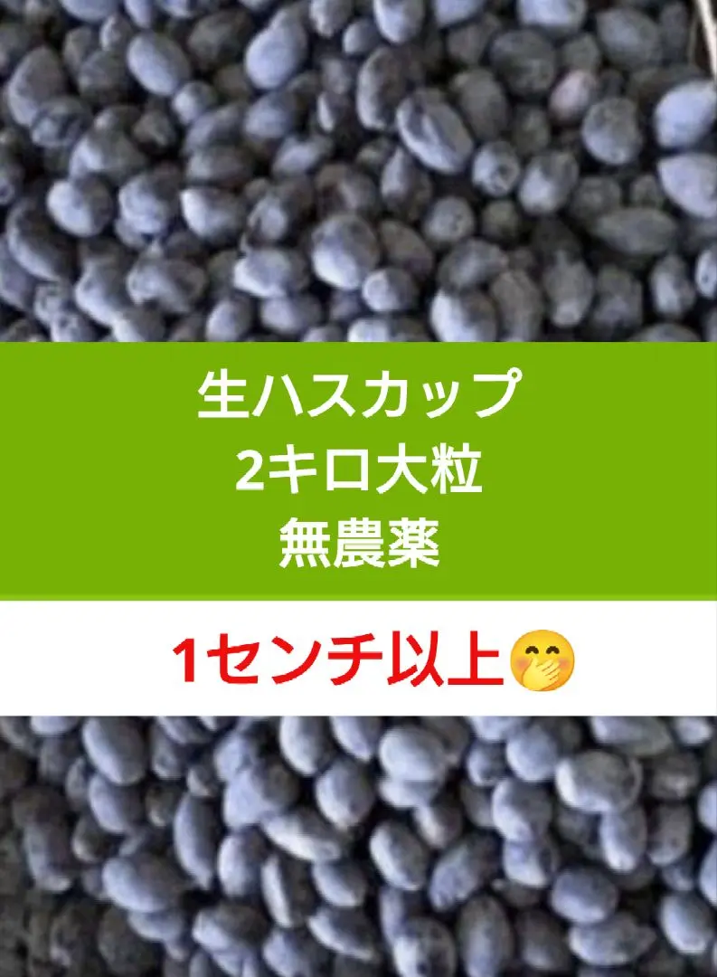 2025年最新】生ハスカップの人気アイテム - メルカリ