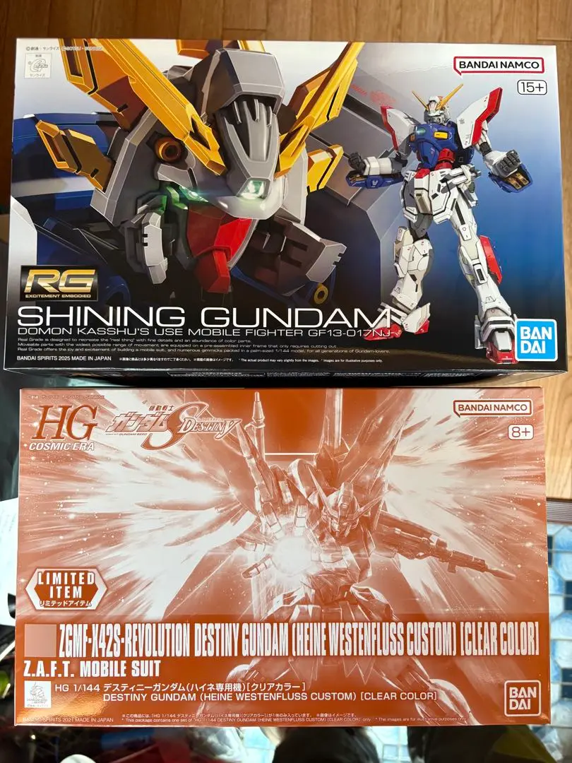 ★未開封★ HG RG デスティニーガンダム　ハイネ専用機含　3種セット 2025年最新】rg デスティニーガンダム ハイネの人気アイテム