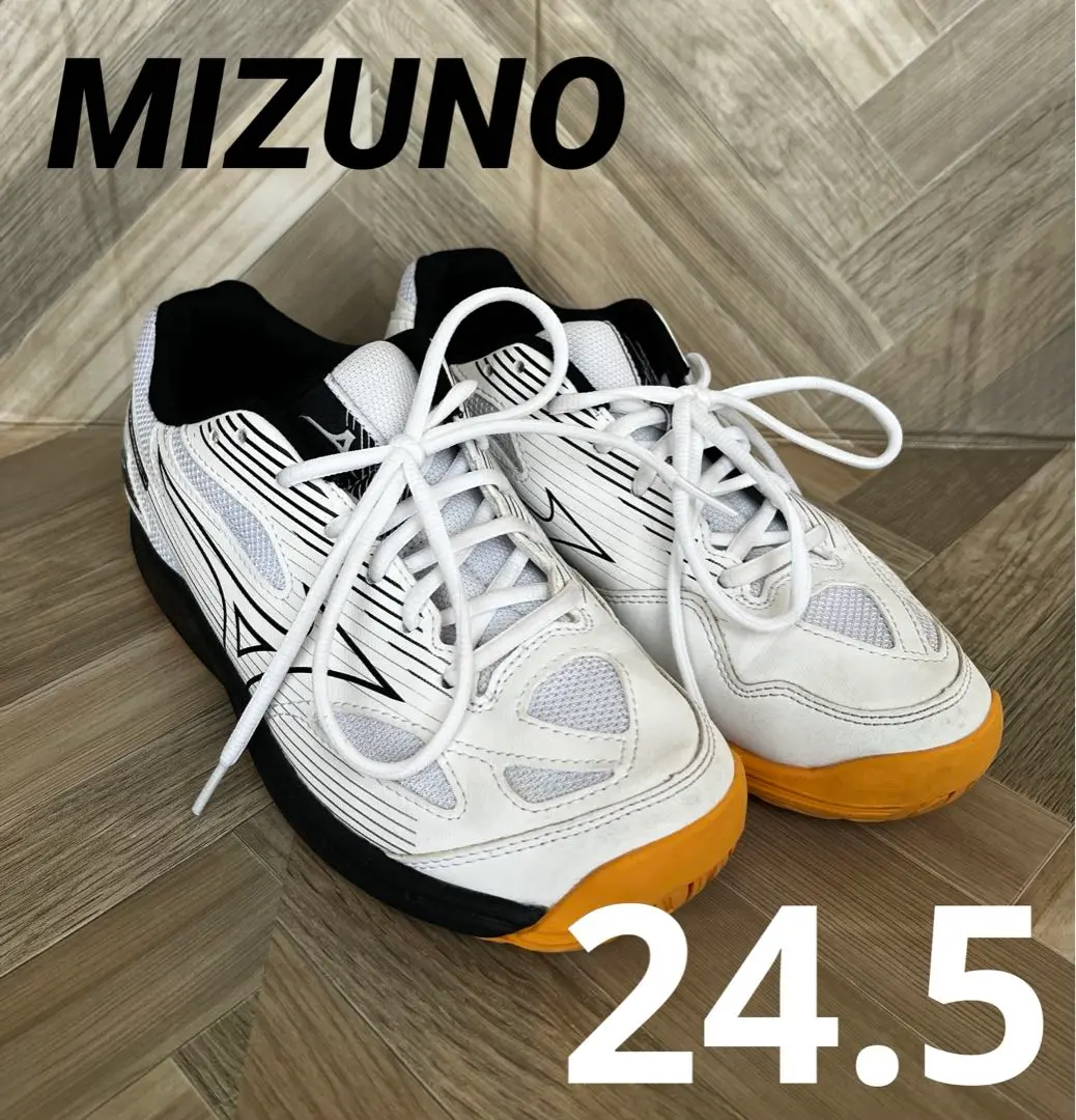 MIZUNO バレーシューズ    24cm ⭐︎廃盤レア商品⭐︎ MIZUNO ミズノ WAVE LIGHTNING Z8 （ホワイト×ネイビー