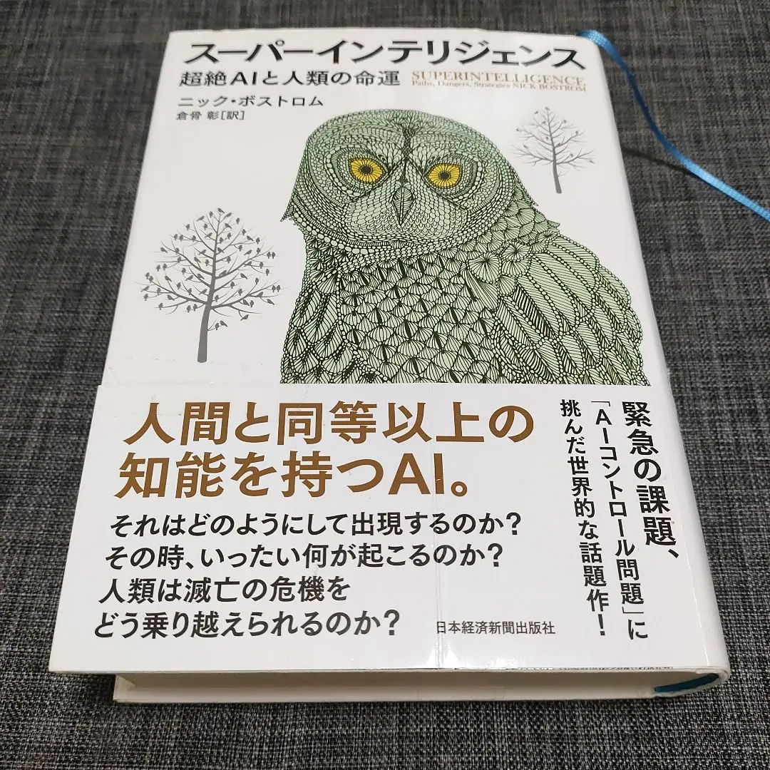 【美品・送料無料】スーパーインテリジェンス 超絶AIと人類の命運 Superintelligence : Paths, Dangers, Strategies / Bostrom