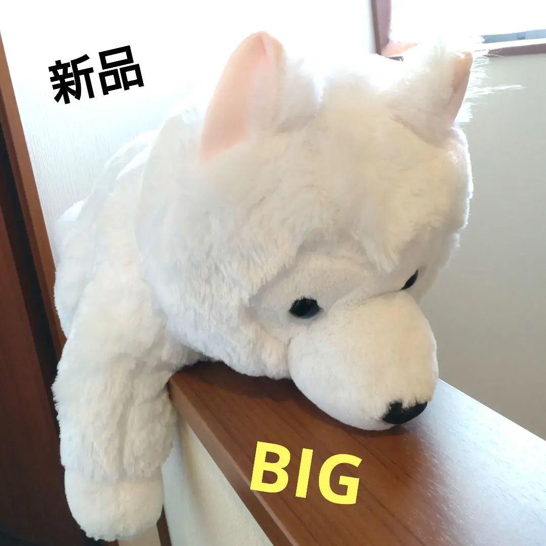 くったり サモエドくん ぬいぐるみ マスコット 全３種 12個 ≪9月の新商品≫くったりサモエドくん-NEW ITEM！｜アミューズ