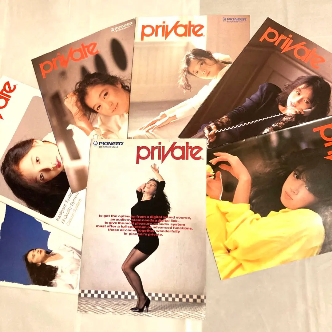 PIONEER - 中森明菜　ポートレート（木枠貼付）、シングルレコード、プロマイド 中森明菜 ポートレート（木枠貼付）、シングルレコード、プロマイド