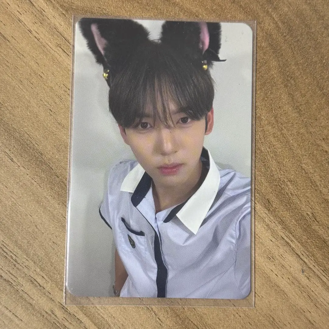 Thumbnail of ZB1 (ZeroBaseOne) Yujin trading card cat ears