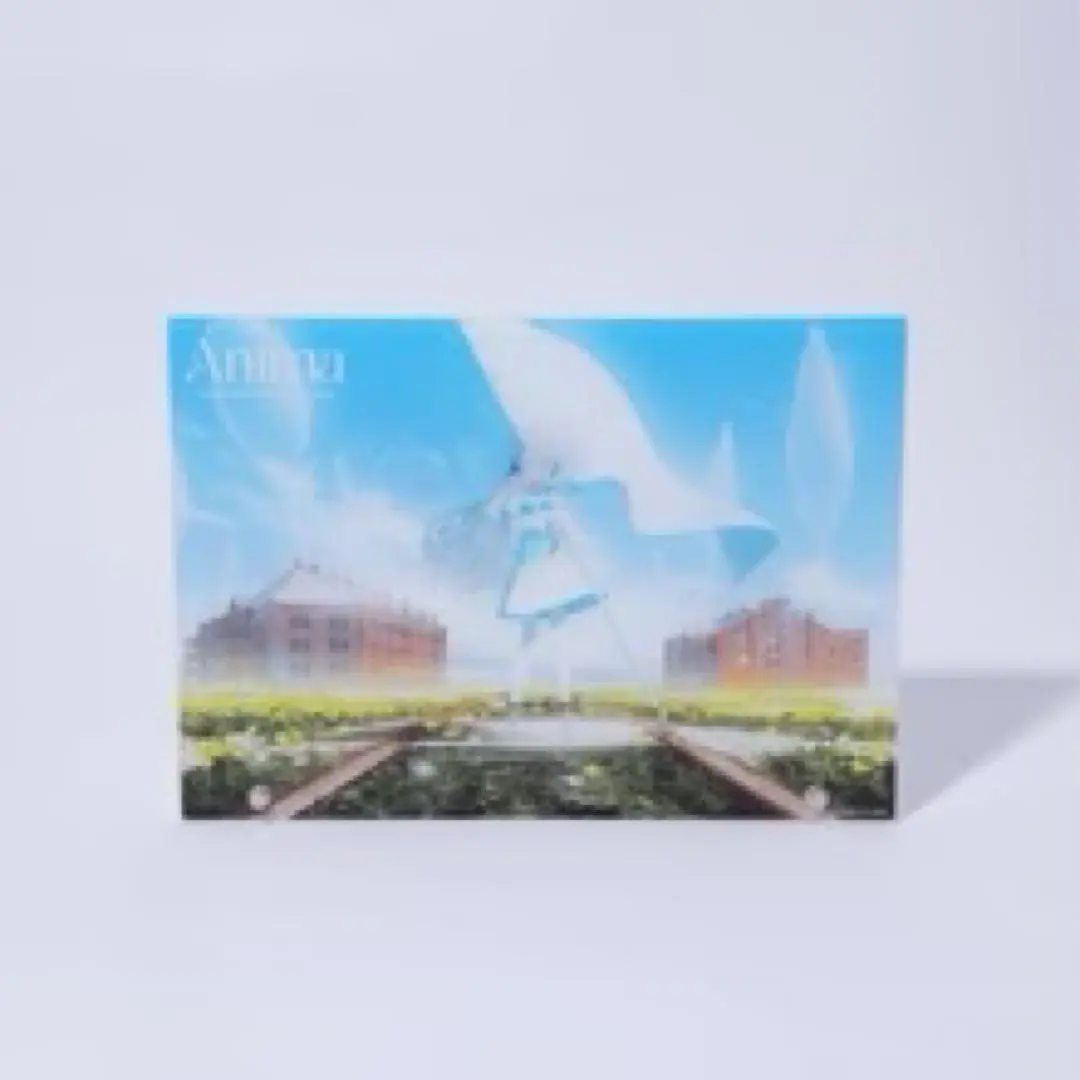2025年最新】animaⅢの人気アイテム - メルカリ