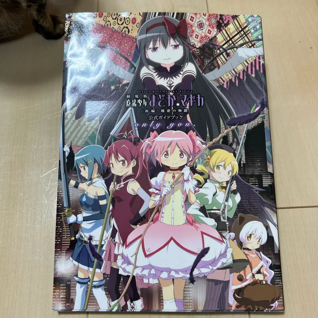 2025年最新】劇場版 魔法少女まどか マギカ 新編 叛逆の物語