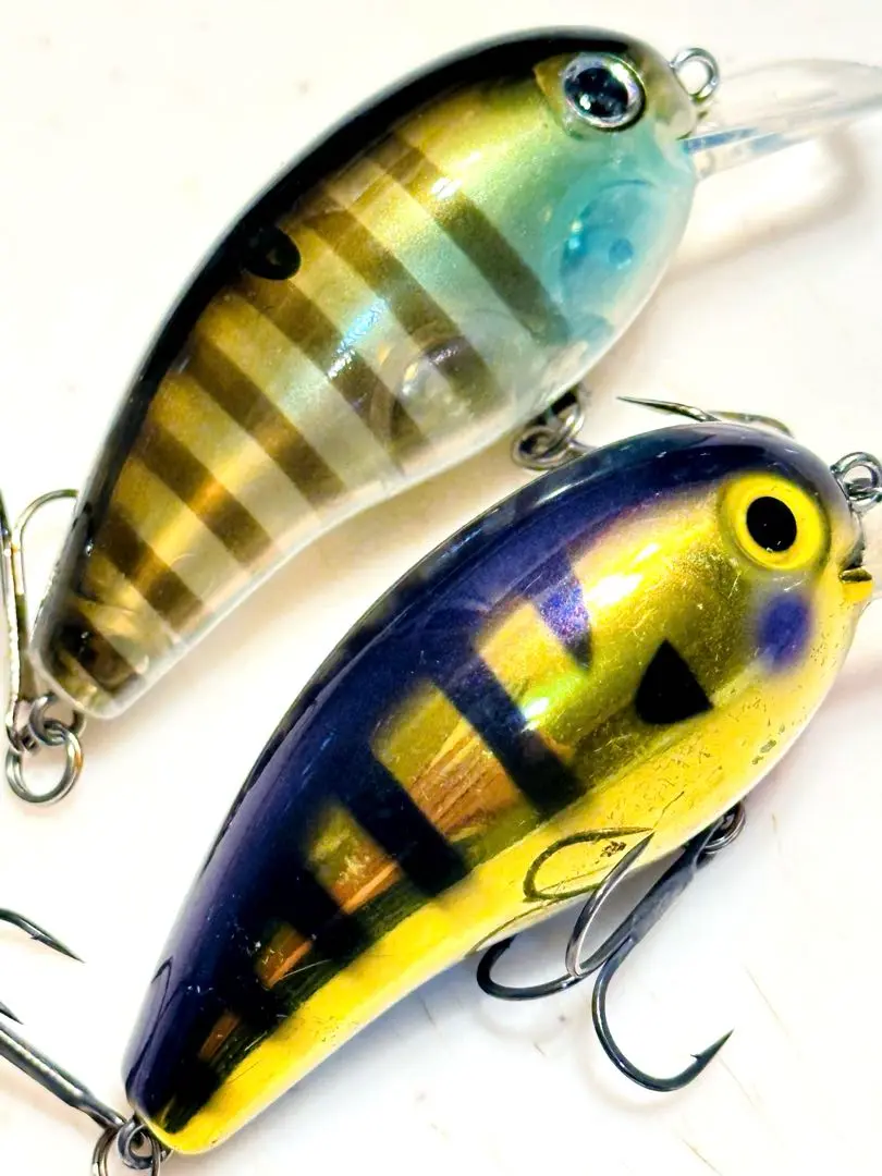 DAIWA ダイワ メガピーナッツ MEGA Peanut スティーズSTEEZ 2025年最新】ダイワ メガピーナッツの人気アイテム - メルカリ