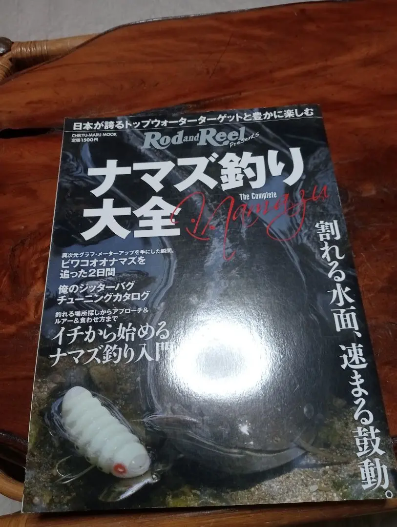 2025年最新】ナマズ釣り大全の人気アイテム - メルカリ