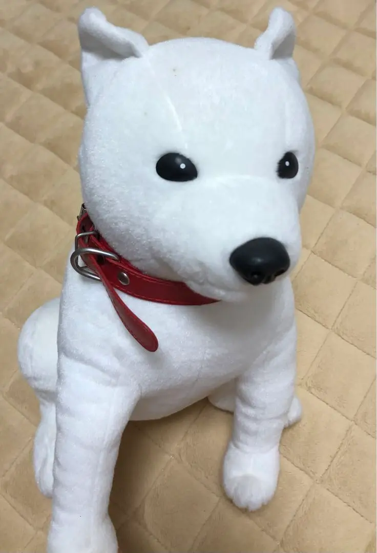 ソフトバンク　ダンテさんの犬ぬいぐるみ 61q2fJKiDFL._UF894,1000_QL80_.jpg