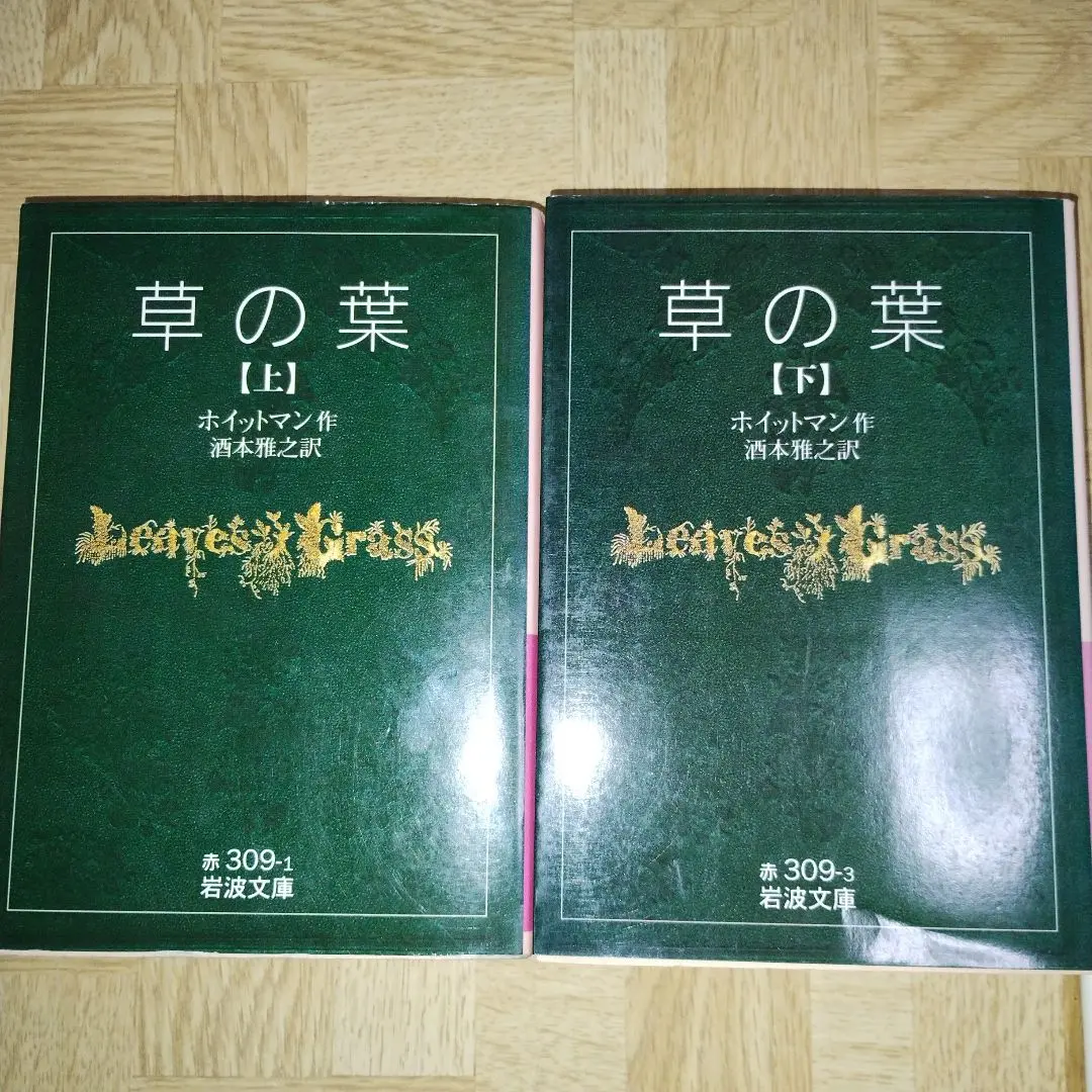 極美本】砂漠の海〜メルヴィルを読む（酒本雅之著）