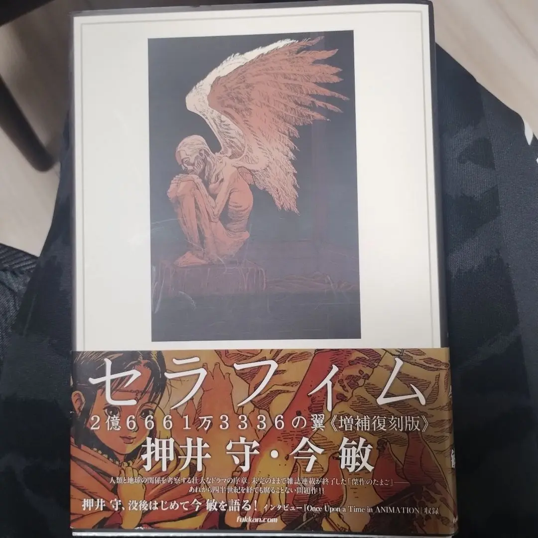 今敏　押井守　セラフィム　海帰線　2冊セット　初版　サブカル　レア セラフィム 2億6661万3336の翼 《増補復刻版》（押井守 今敏
