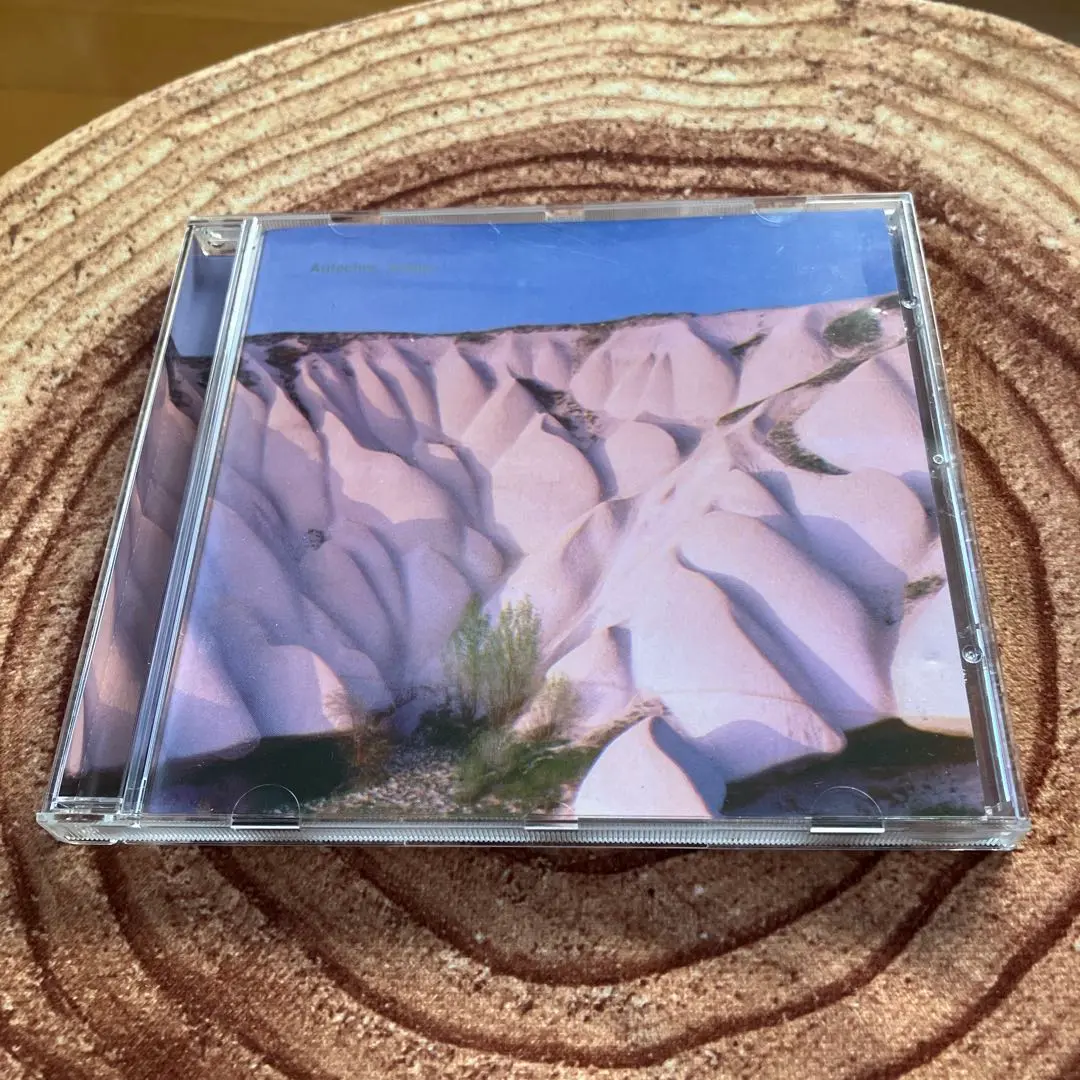 2025年最新】Autechre amberの人気アイテム - メルカリ