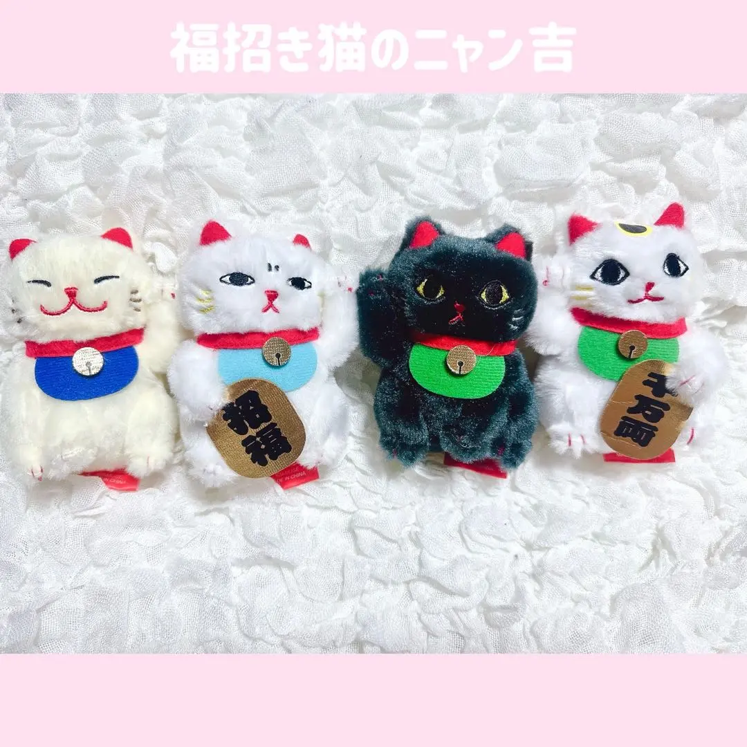 ≪8月の新商品≫福招き猫のニャン吉-NEW ITEM！｜アミューズ最新情報