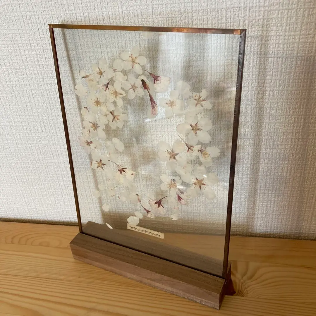 はいいろオオカミ　花屋　西別府商店　ガラス標本　桜 Glass specimen ~季節のガラス標本 ~ | はいいろオオカミ＋花屋