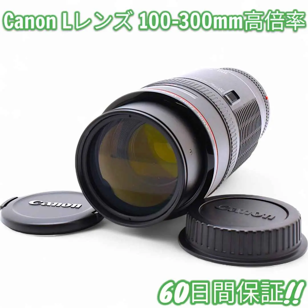望遠レンズ/ CANON ZOOM LENS EF 100-300mm F5.6