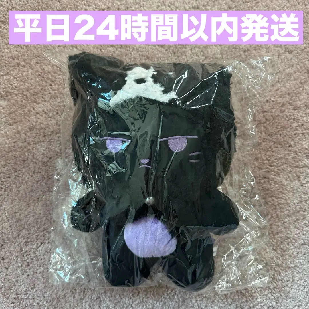【新品・未開封】チャンギュンNYANGKYUN ニャンギュン ドール 2025年最新】ニャンギュンの人気アイテム - メルカリ