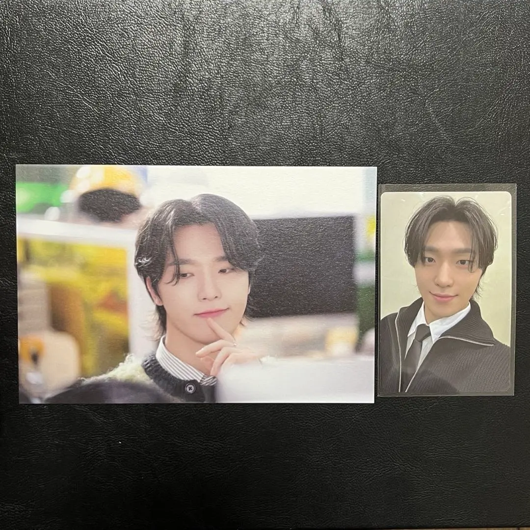 Thumbnail of CARAT LAND 2025 Digital Code DINO