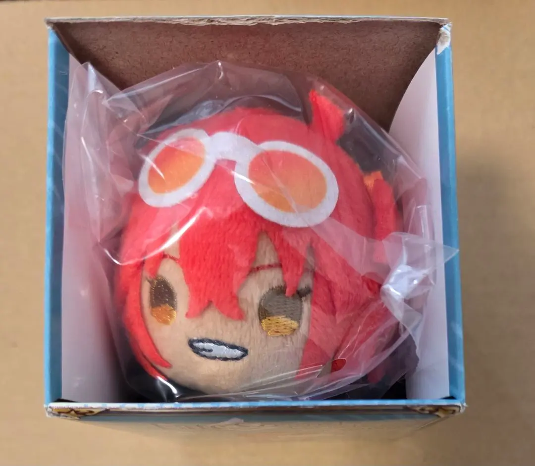 もちマスぐだ子 Amazon.co.jp: ぐだ子 女主人公 特典 Fate FGO もちもち