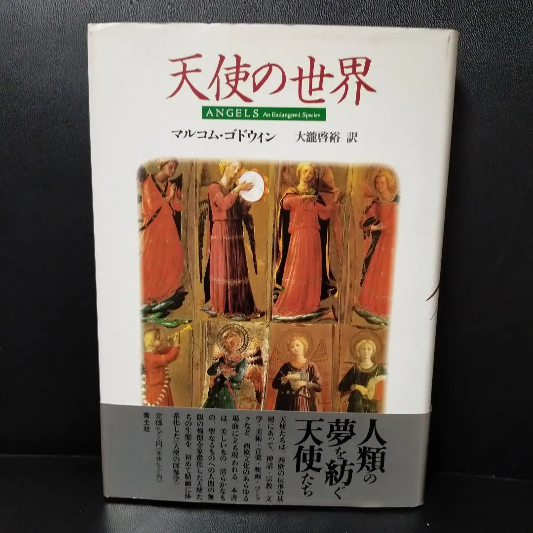 【中古】 天使の世界 新装版/青土社/マルコム・ゴドウィン 楽天市場】マルコム ゴドウィンの通販