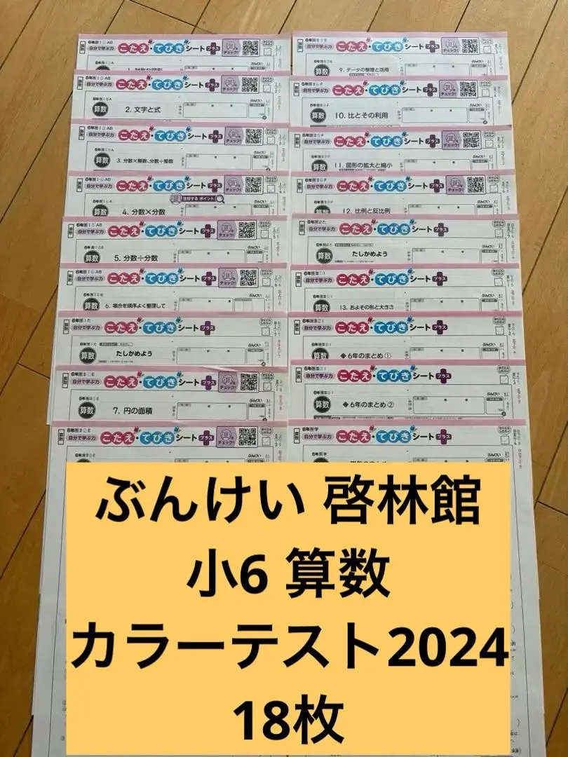 Amazon.co.jp: 2024年ぶんけい カラーテスト 答え 6年 国語 算数