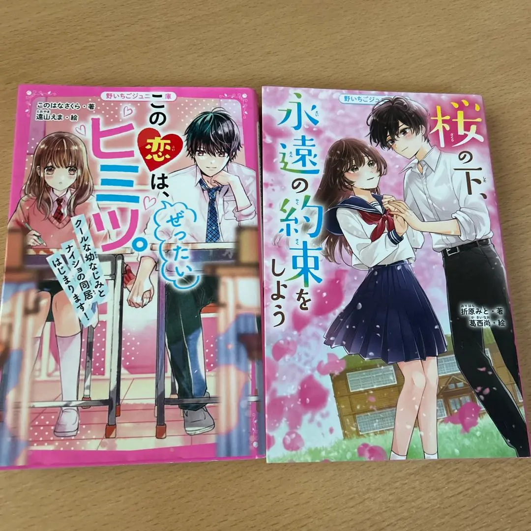 Thumbnail of Noichigo Junior Library: This Love is a Secret. & Let's Make an Eternal Promise - Set of 2 Books