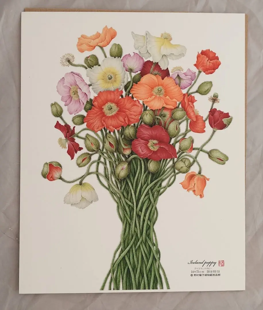 野村陽子　絵葉書集 里山の四季を描く Amazon.co.jp: 野村陽子 絵葉書集 里山の四季を描く : おもちゃ